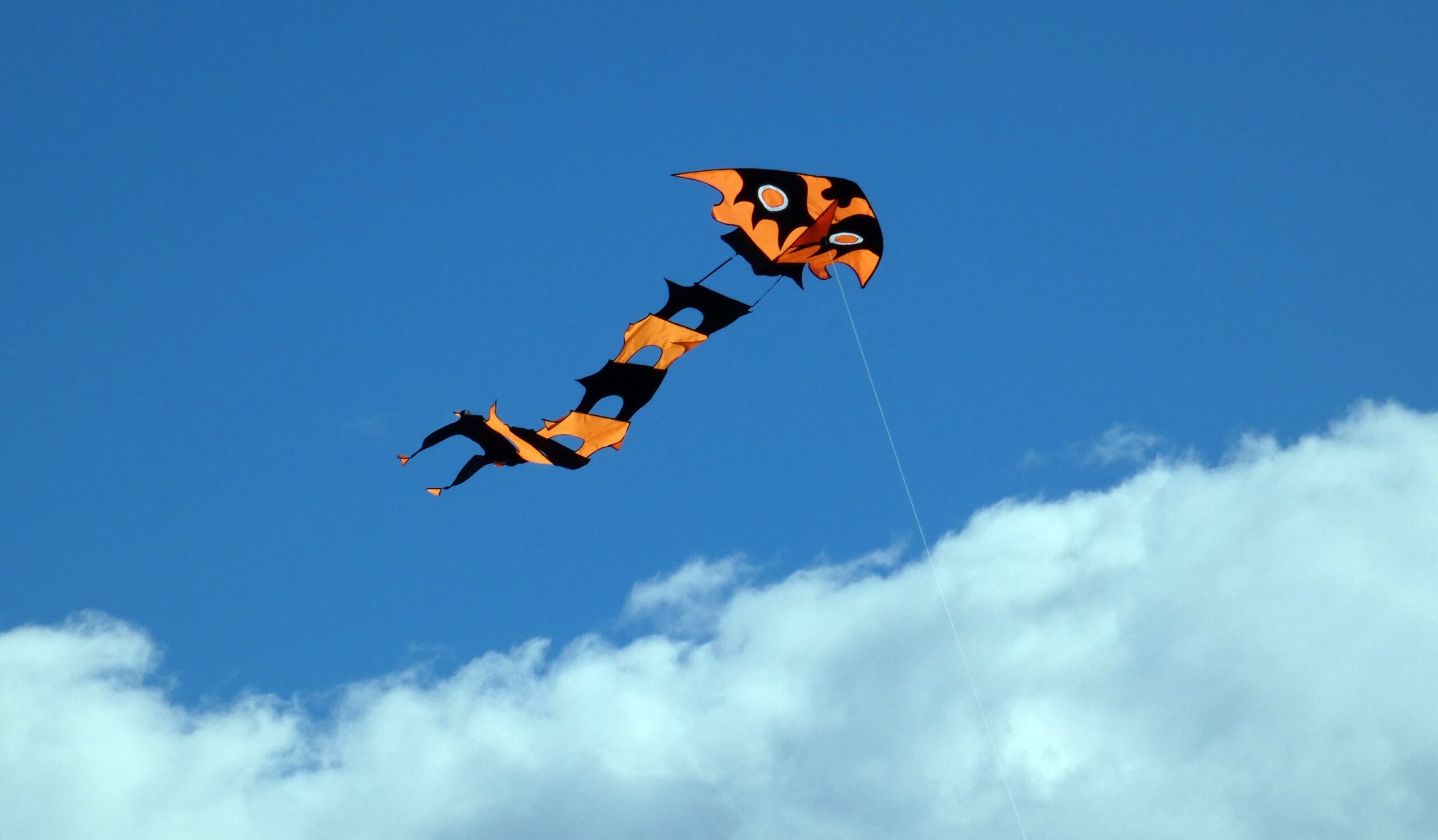 rencontres internationales berck